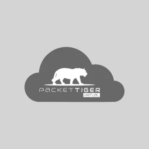 Virtual Network Packet Broker