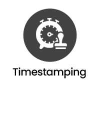 Virtual Network Packet Broker