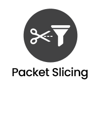 Virtual Network Packet Broker