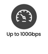 PacketGrizzly Packet Capture Appliance