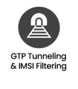Advanced Network Packet Broker