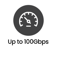 PacketGrizzly Packet Capture Appliance