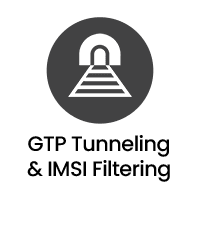 Advanced Network Packet Broker