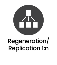 Network Packet Broker