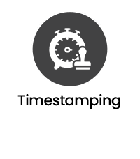 Network Packet Broker