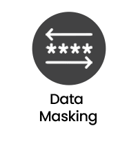 Data Masking