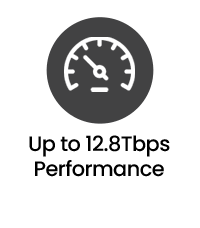 Network Packet Broker
