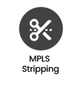 Network Packet Broker