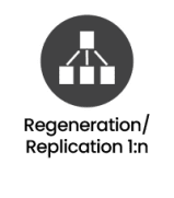 Network Packet Broker
