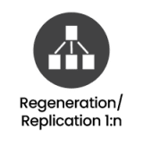 Network Packet Broker