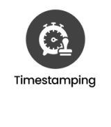 Network Packet Broker