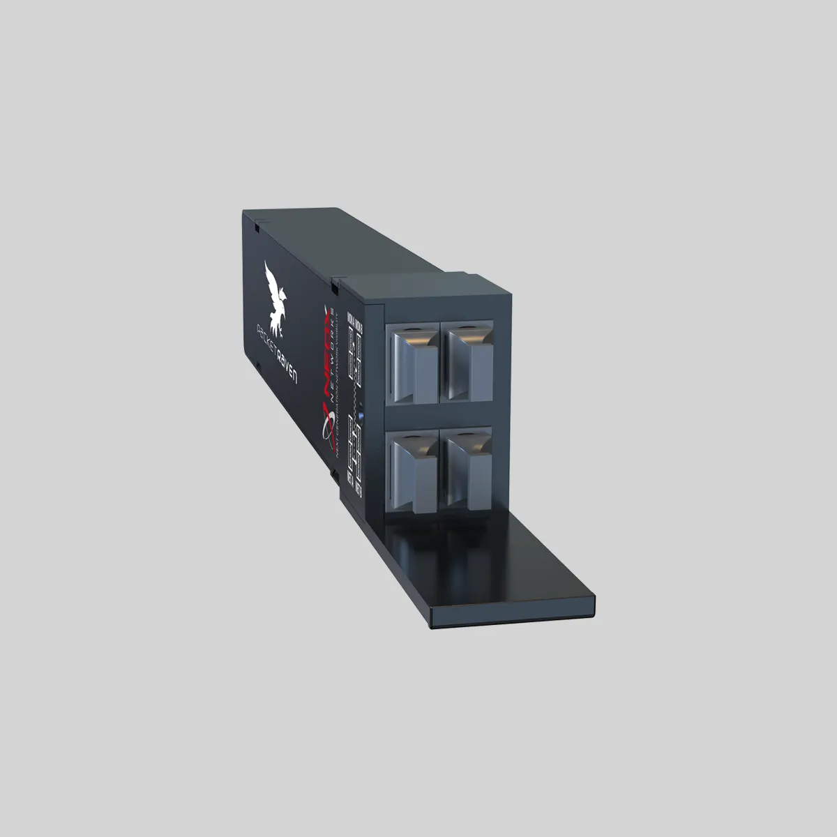 PacketRaven Modular Network TAP