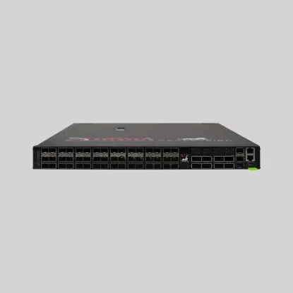 Paquete León Network Packet Broker